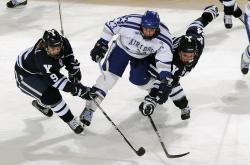 开云官方app入口-羽坛新纪元，印尼队横扫日本队，黄鸭组合惊艳四座改写亚洲格局