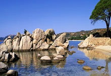 开云体育入口-雄鹿提前终结悬念魔术，杜兰特成为关键先生