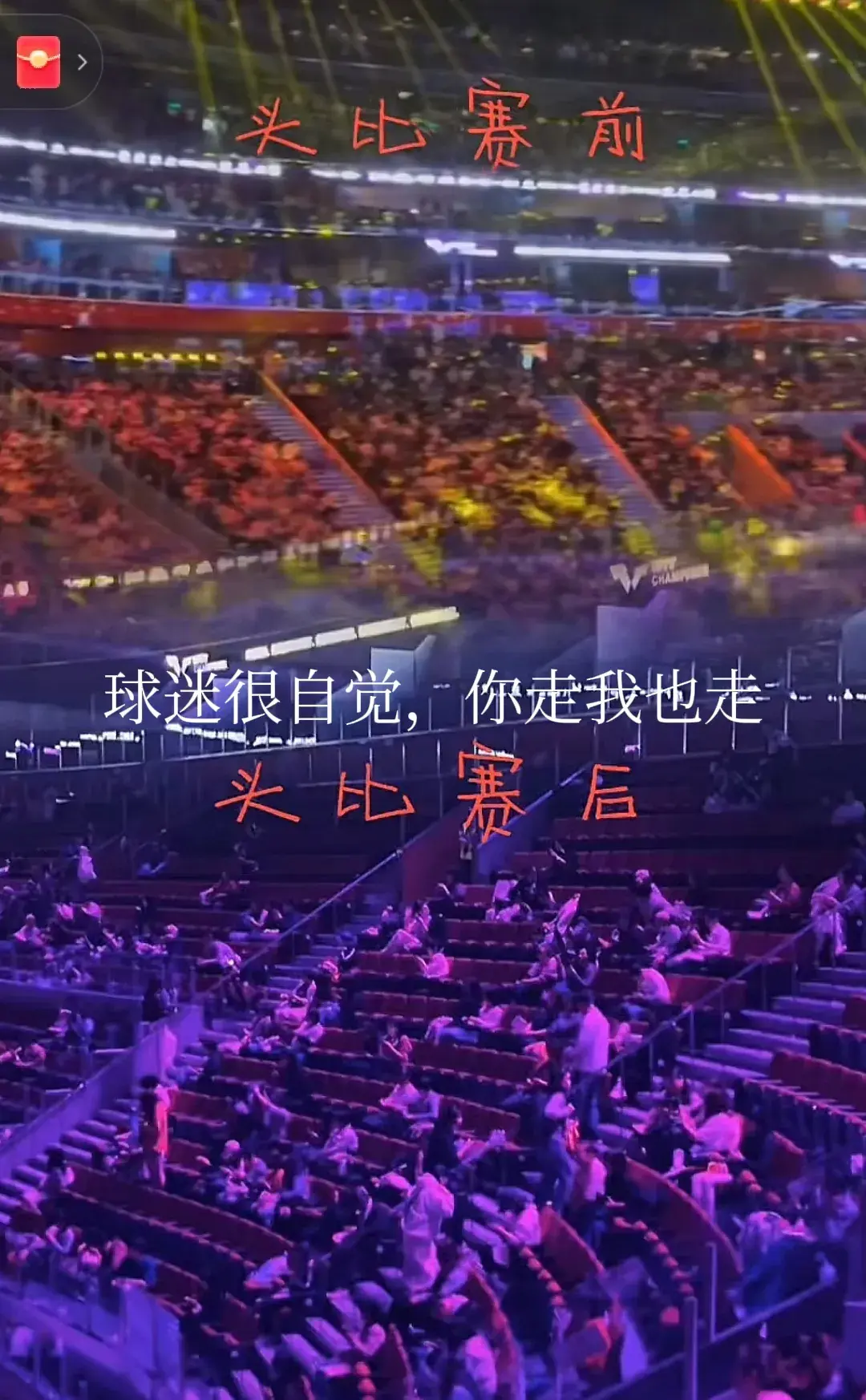 包含世界体育盛事，观众尽情沉浸比赛快乐的词条