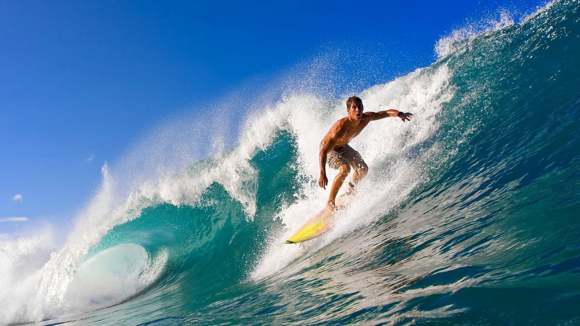 年度焦点之战之夜，福克斯进攻端无人可挡，改写联盟格局