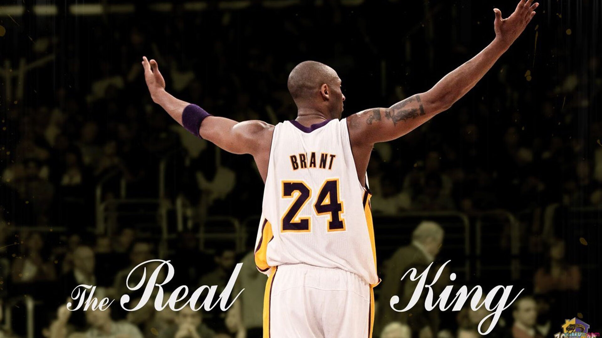 开拓者稳稳拿下浙江队,小贾伦成为关键先生